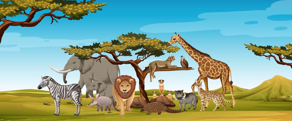 Test: Animals 1
