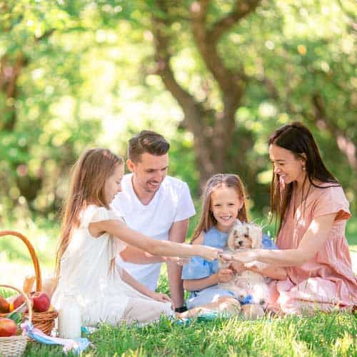picnic 1