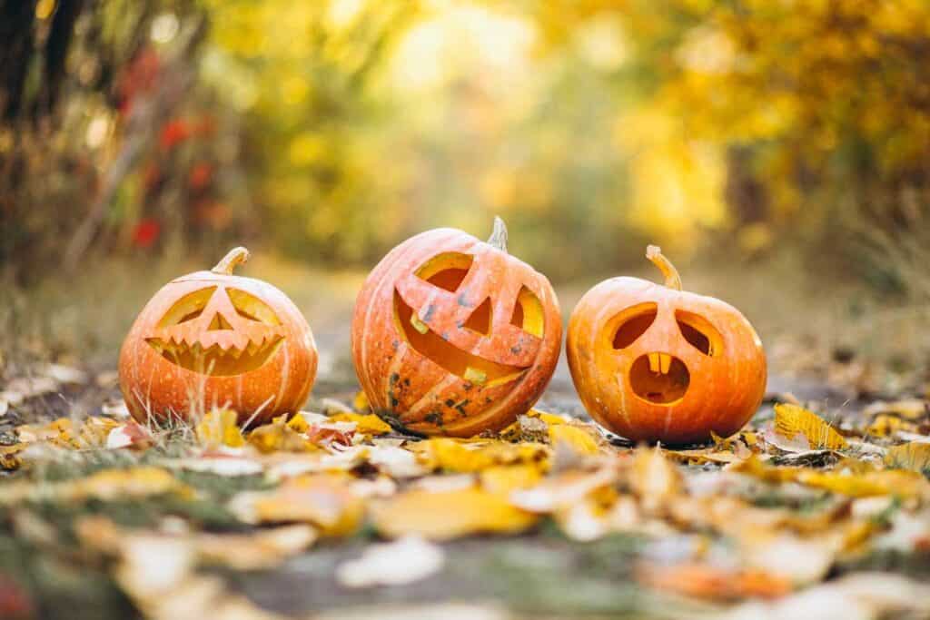 Halloween: Gruselnacht in der Schule 10